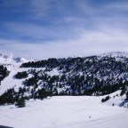 View from the Solana chair - 21/3/2011