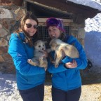Andorra Resorts team with the puppies