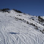 Tracks in the powder - 30/01/2012