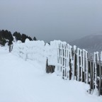 Frosty, snow covered fence by the TSD6 Solana lift